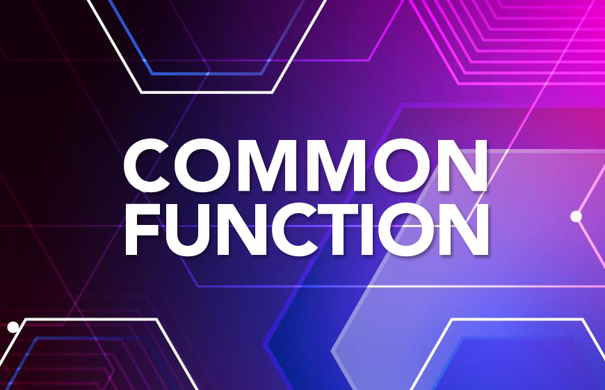 Common Function_Basic