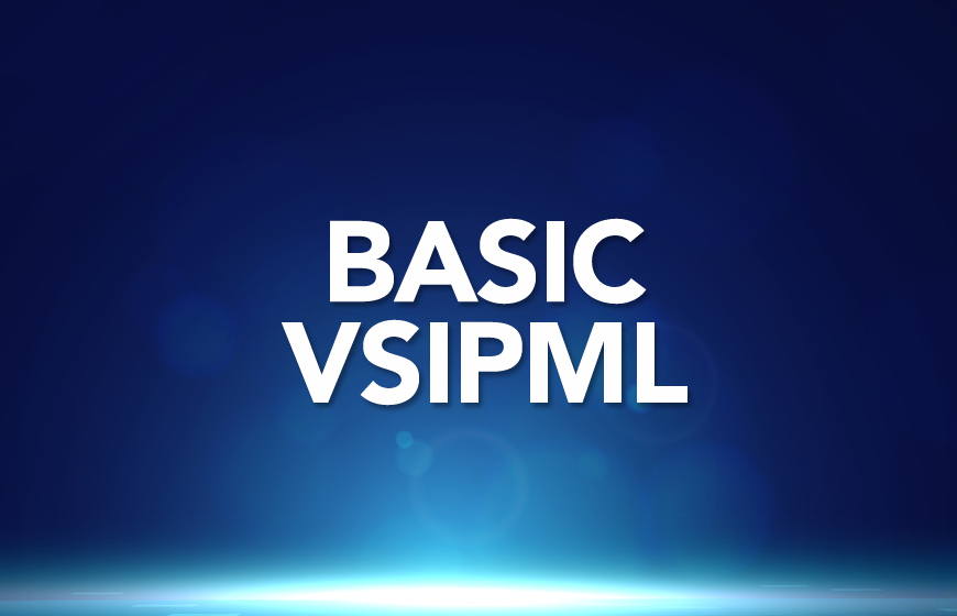 MVSS Basic Level - VsIPML