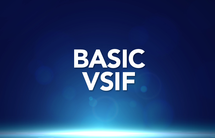 MVSS Basic Level - VsIF 