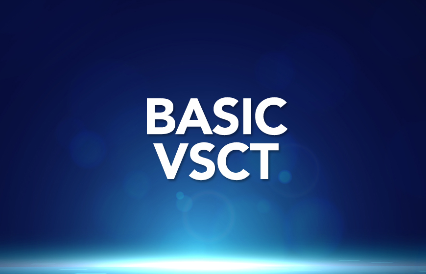 MVSS Basic Level -  VsCT 