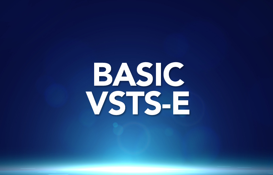 MVSS Basic Level - VsTS-E