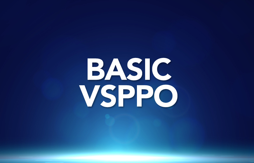 Basic Level - VsPPO