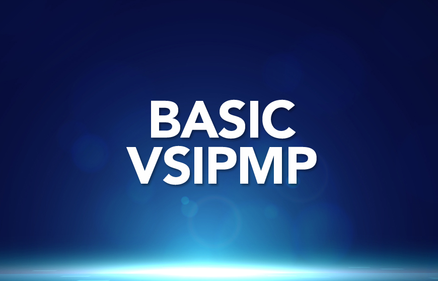 Basic Level - VsIPMP