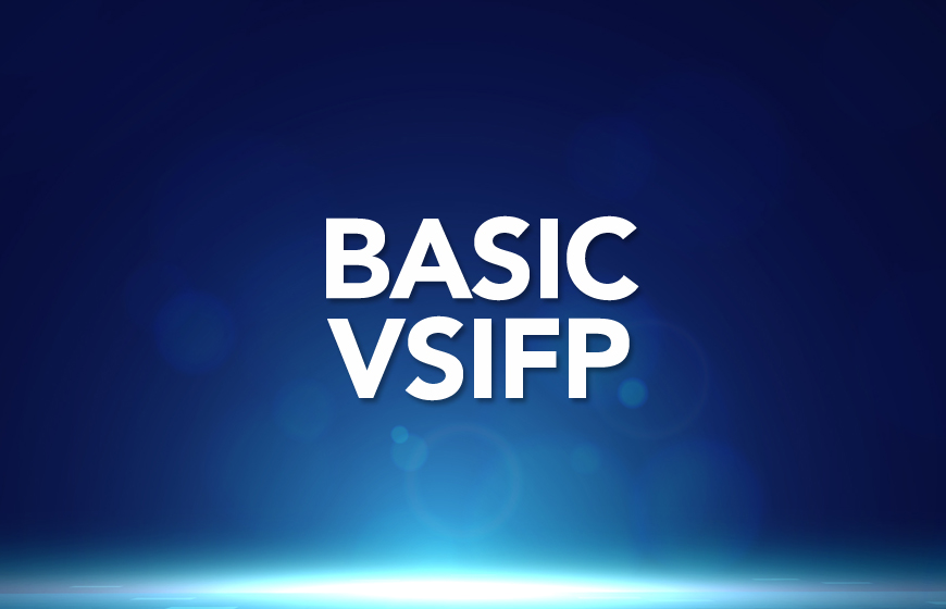 MVSS Basic Level - VsIFP_SR31040