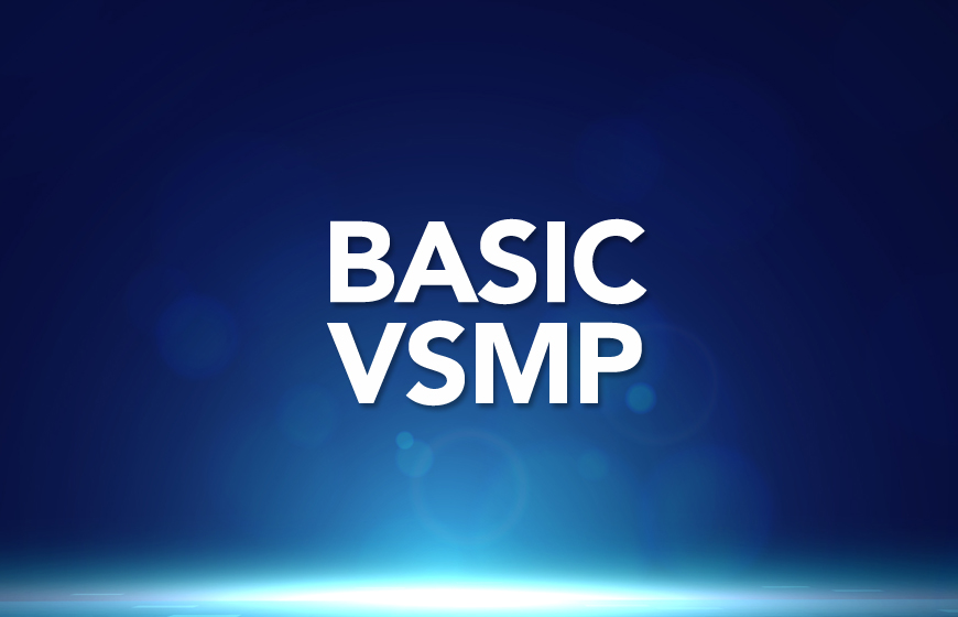MVSS Basic Level - VsMP_SR-31040